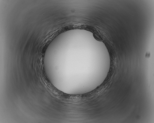 X0000112510914200908171044