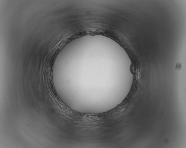 X0000112510915200908171044