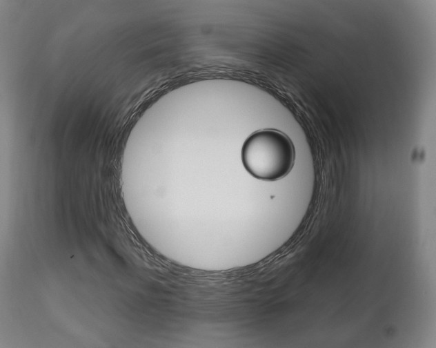 X0000112510916200908171044