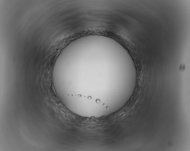 X0000112510917200908171044