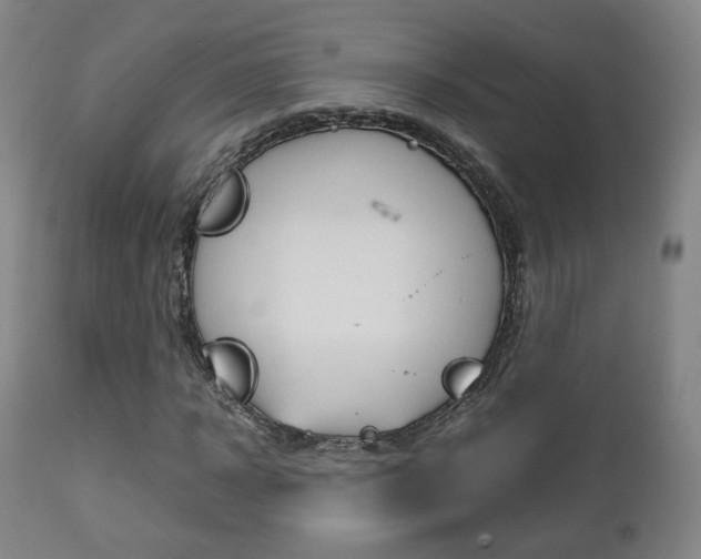 X0000112510918200908171044