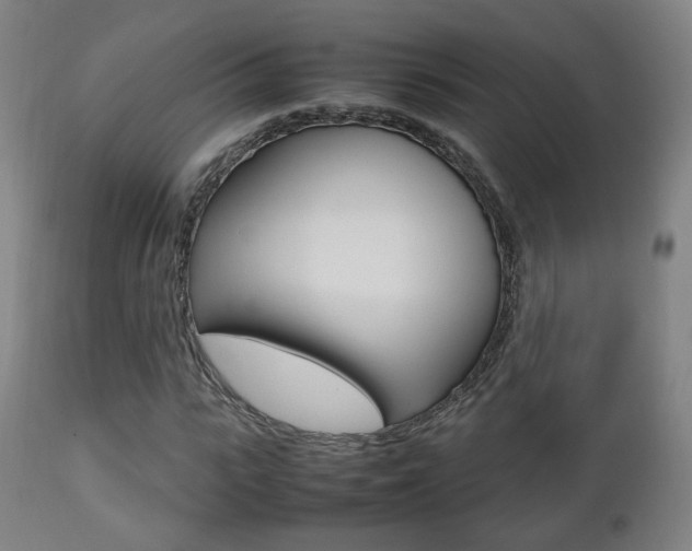 X0000112510919200908171044