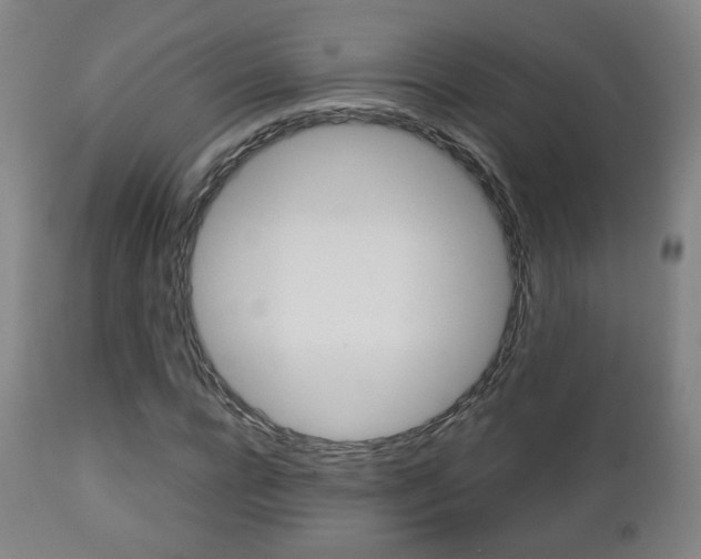 X0000112510920200908171044