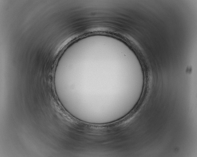 X0000112510921200908171044