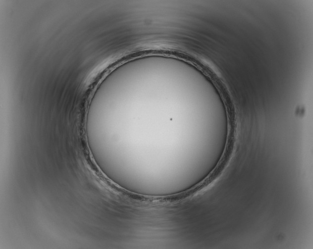 X0000112510922200908171044