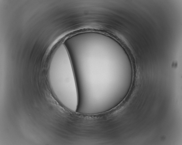 X0000112510923200908171044