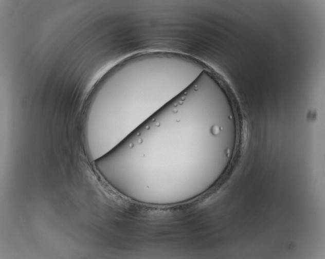 X0000112510925200908171044