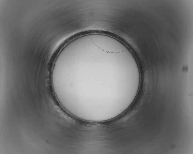 X0000112510926200908171044