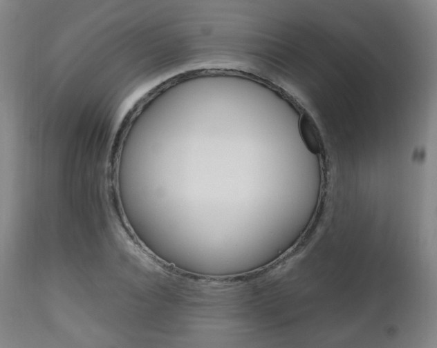 X0000112510928200908171044