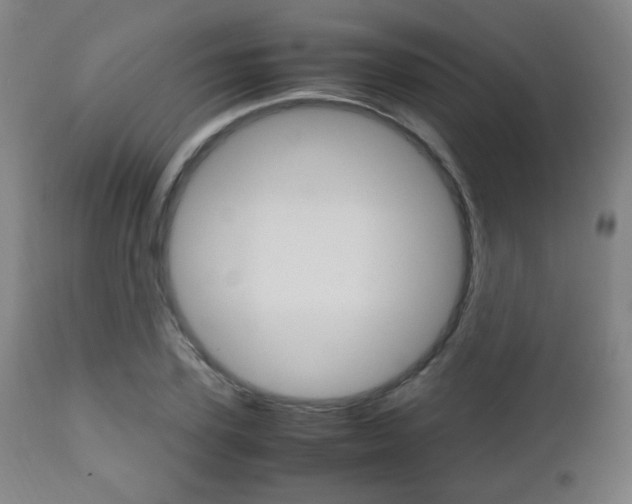 X0000112510931200908171044