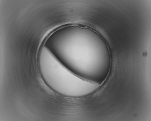 X0000112510932200908171044