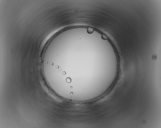 X0000112510933200908171044