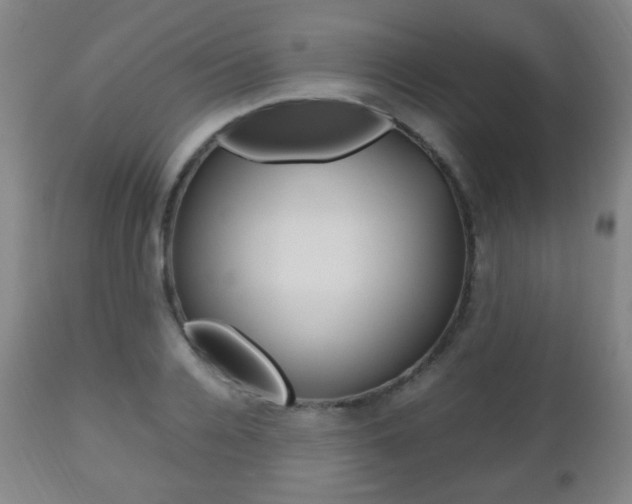 X0000112510936200908171045