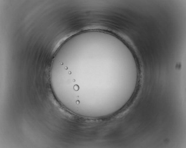 X0000112510937200908171045