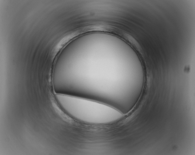 X0000112510938200908171045
