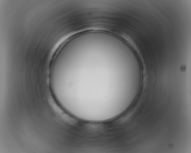 X0000112510939200908171045