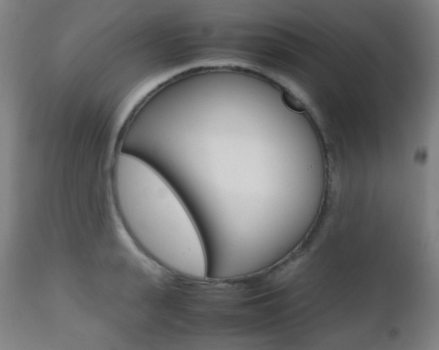 X0000112510943200908171045