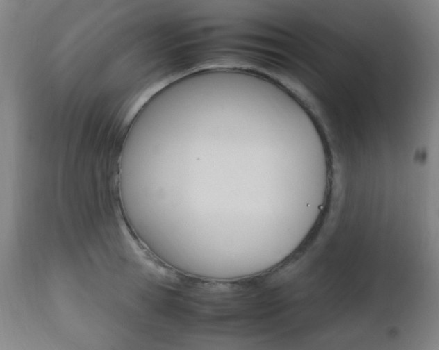 X0000112510945200908171045