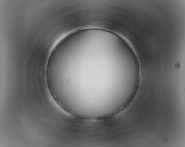 X0000112510949200908171045