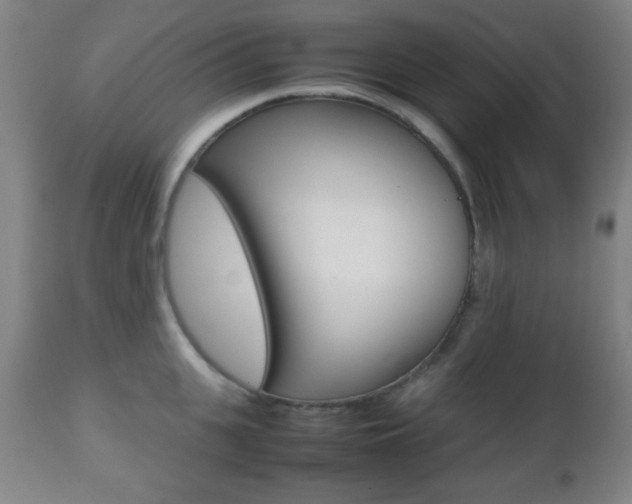 X0000112510951200908171045