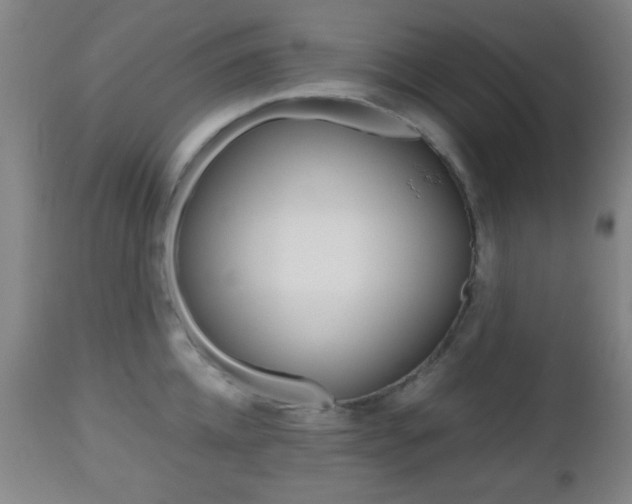 X0000112510952200908171045