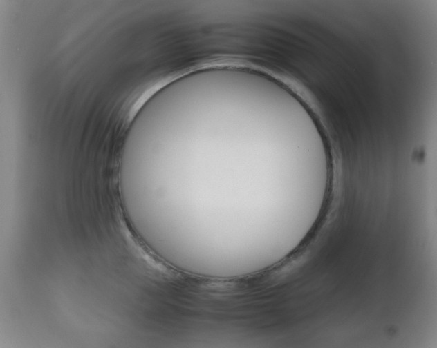 X0000112510953200908171045