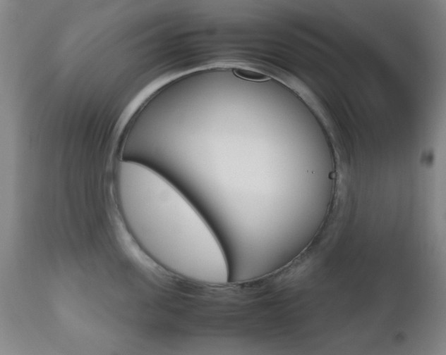 X0000112510955200908171045