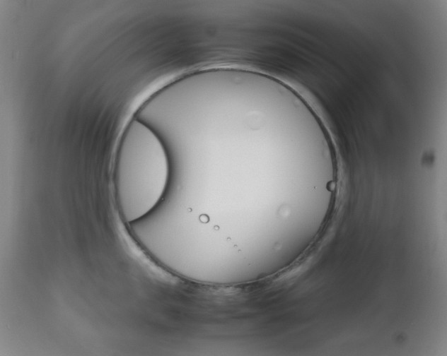 X0000112510957200908171045