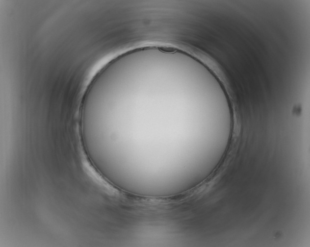 X0000112510958200908171045