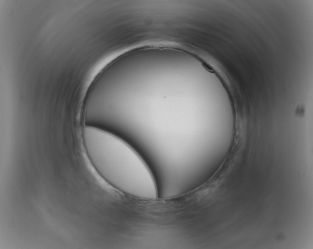 X0000112510959200908171045