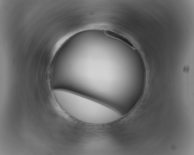 X0000112510960200908171045