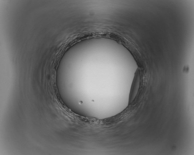 X0000112510961200908171044