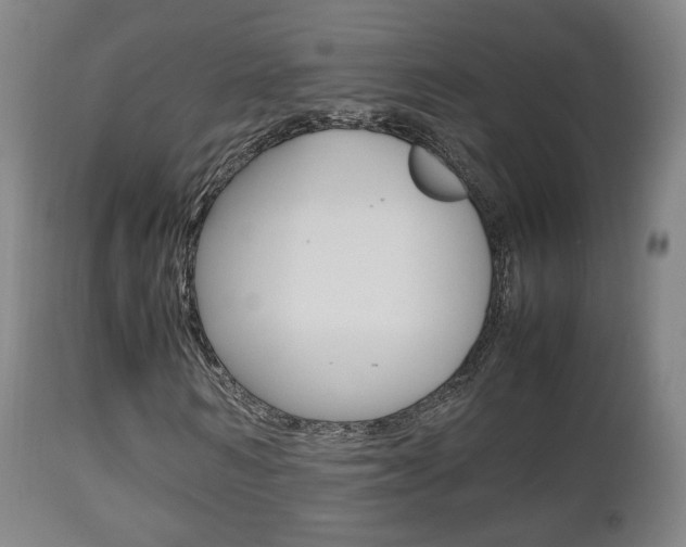 X0000112510962200908171044
