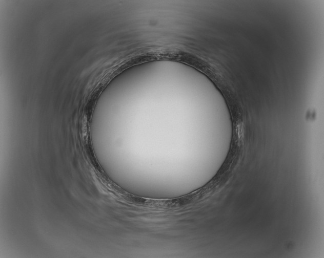 X0000112510963200908171044