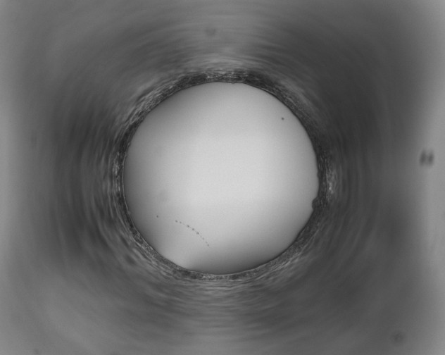 X0000112510964200908171044