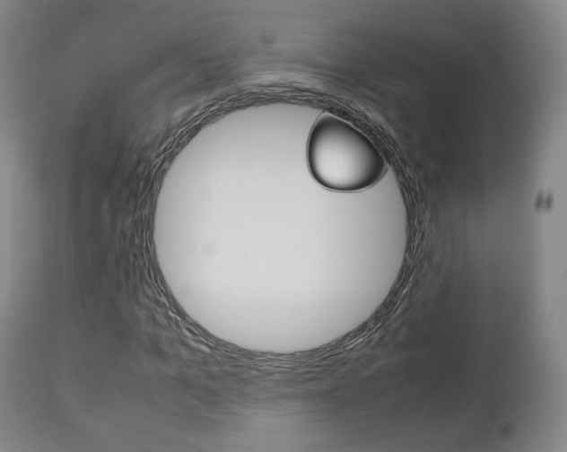 X0000112510965200908171044