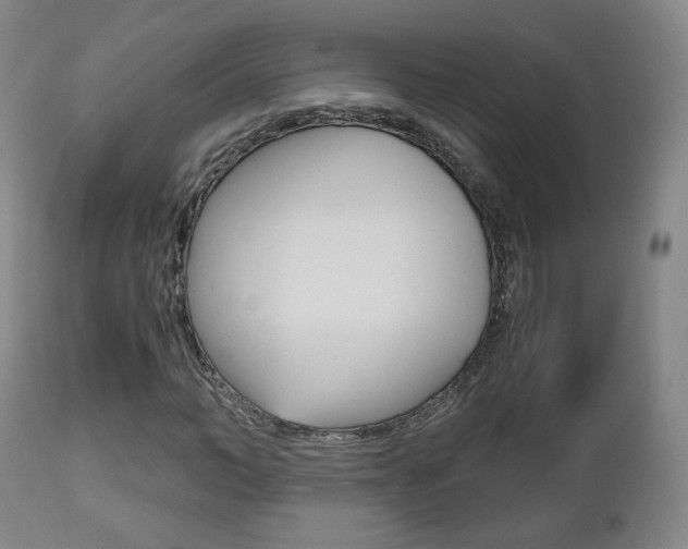 X0000112510966200908171044