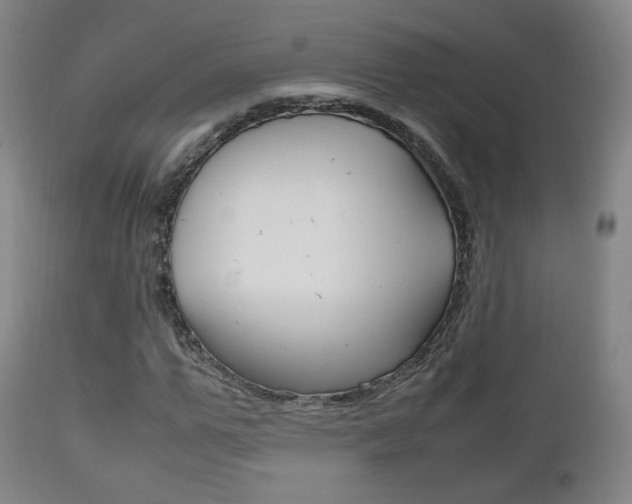 X0000112510967200908171044