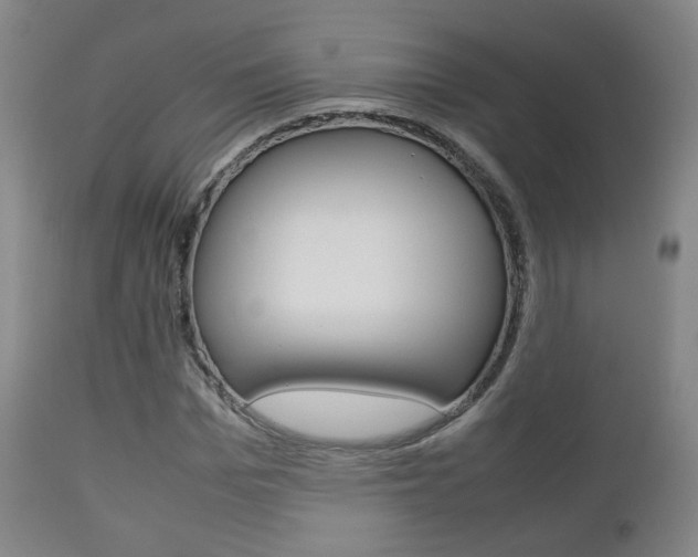 X0000112510969200908171044