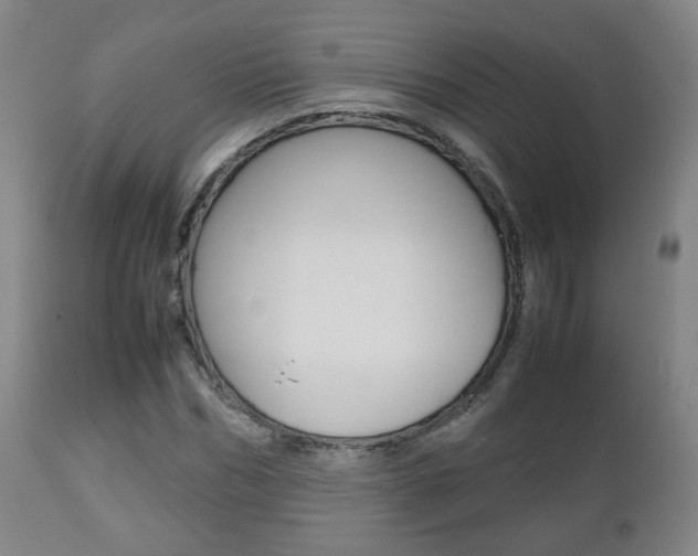 X0000112510970200908171044