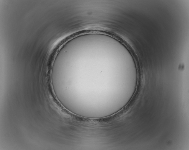 X0000112510971200908171044
