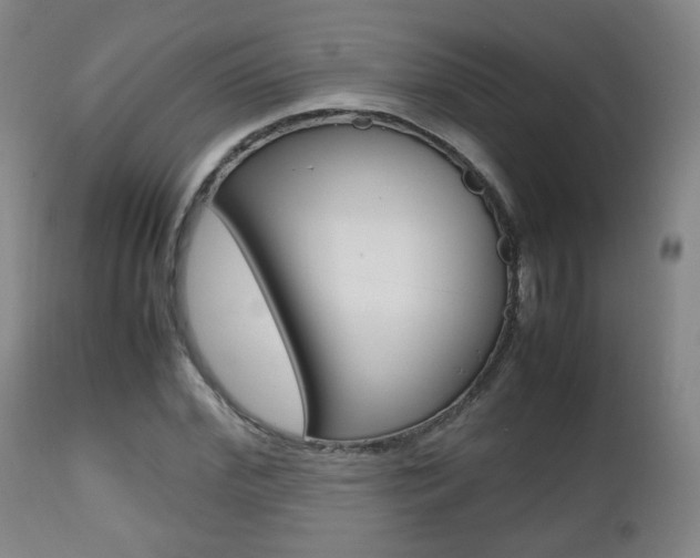 X0000112510972200908171044