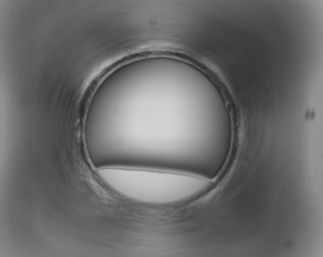 X0000112510973200908171044
