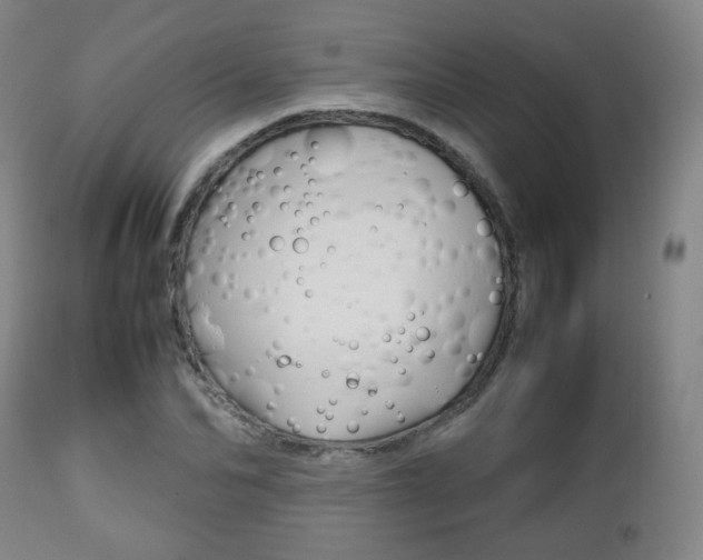 X0000112510974200908171044