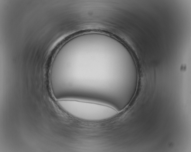 X0000112510975200908171044