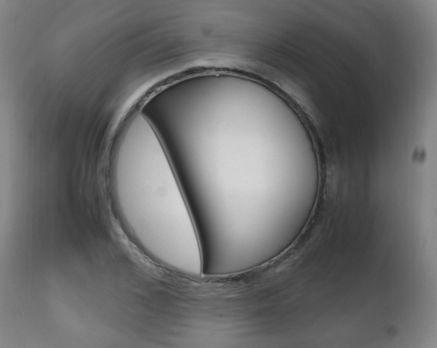 X0000112510976200908171044