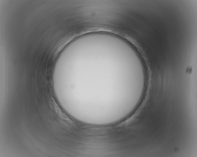 X0000112510977200908171044