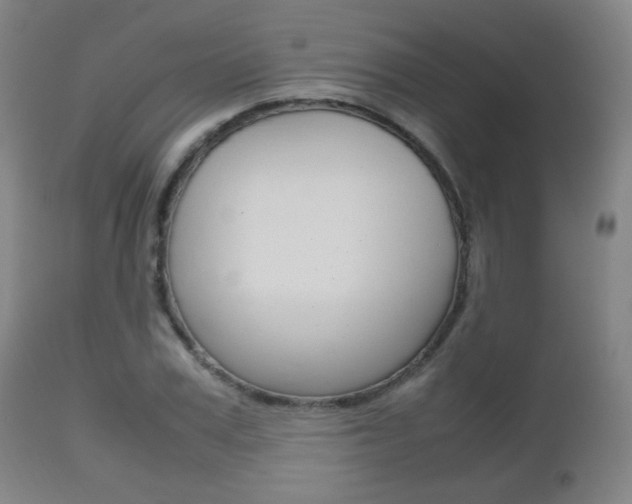 X0000112510979200908171044