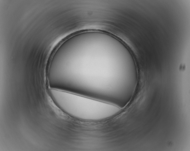 X0000112510980200908171044