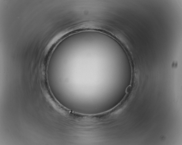 X0000112510981200908171044